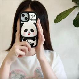 Playful Panda Case, photograph 1